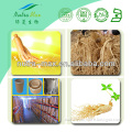 High Quality/Factory Supply Pure Panax Ginseng Extract Powder 5% 10% 50% 80% Ginsenosides by HPLC/UV Low Pesticides EP/USP